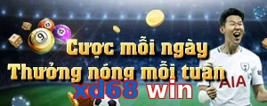 xd68 win